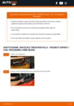 Sostituzione di Filtro Olio su PEUGEOT EXPERT Box (222) 2.0 HDI 16V: la guida professionale