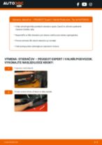 Profesionálny sprievodca výmenou súčiastky Olejový filter na tvojom aute PEUGEOT EXPERT Platform/Chassis (223) 1.6
