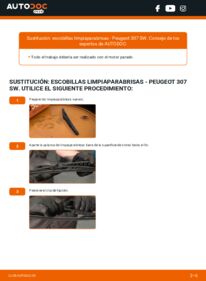 Cómo sustitución de Escobillas de Limpiaparabrisas 1.6 HDI 110 Peugeot 307 SW