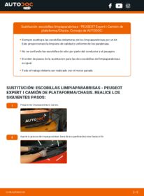 Cómo sustitución de Escobillas de Limpiaparabrisas 2.0 HDi PEUGEOT EXPERT Platform/Chassis (223)