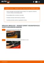 Kako zamenjati zadaj in spredaj Metlice brisalcev PEUGEOT EXPERT Platform/Chassis (223) - vodič spletu
