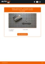 Salona filtrs: profesionāla rokasgrāmata tā nomaiņai tavam VW PASSAT Kasten/Kombi (365) 2.0 TSI