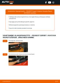 Kuidas välja vahetamist läbi viia: PEUGEOT EXPERT Platform/Chassis (223) 2.0 HDi Pesurikumm