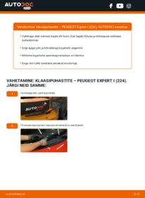 Kuidas välja vahetamist läbi viia: Peugeot Expert 224 2.0 HDI Pesurikumm