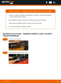 Kaip atlikti keitimą: Peugeot Expert 224 2.0 HDI Valytuvo gumelė