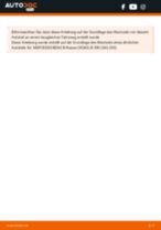 Die professionelle Anleitung für den Keilrippenriemen-Wechsel bei deinem Mercedes W251 R 350 CDI 3.0 4-matic (251.023, 251.123)