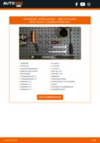 Stap-voor-stap PDF-handleidingen over het veranderen van CHEVROLET Rezzo U100 Gloeilamp Kentekenplaatverlichting