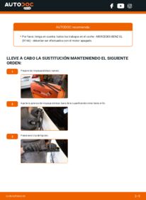 Cómo sustitución de Escobillas de Limpiaparabrisas GL 350 CDI / BlueTec 3.0 4-matic (166.823, 166.824) Mercedes X166