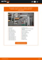 PDF manual pentru întreținere Sandero / Stepway I (BS_) 1.6 Flex (BS0V, BS1V, BS09)