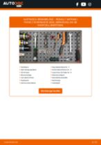 Werkstatthandbuch für SAFRANE II (B54_) 2.9 24V (B54N) online