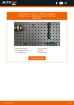 Werkstatthandbuch für Sandero / Stepway I (BS_) 1.6 (BS0H, BS0F) online