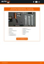 Stap-voor-stap PDF-handleidingen over het veranderen van JAGUAR I-PACE (X590) Gasveer Achterklep