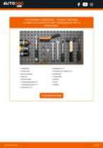 Stap-voor-stap PDF-handleidingen over het veranderen van Renault Latitude L70 Klepsteelrubbers