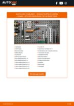RENAULT EXPRESS Box Body / Estate Radlager: Schrittweises Handbuch im PDF-Format zum Wechsel