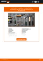 RENAULT SPORT SPIDER (EF0_) Kolbenringe: Schrittweises Handbuch im PDF-Format zum Wechsel