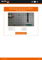 Cómo cambiar Filtros de aire RENAULT MEGANE II Box Body / Estate (KM_) - manual en línea