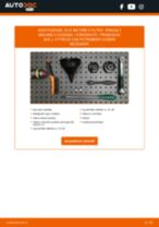 Cambio Filtro Olio RENAULT MEGANE II Box Body / Estate (KM_): guida pdf