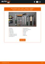 RENAULT Symbol / Thalia II 2020 repair manual and maintenance tutorial