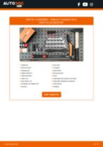 DIY-manual för byte av Vevaxeltätning i RENAULT LAGUNA 2015