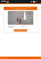 Cum schimb Bec lampa numar AUDI A4 (8EC, B7) - tutoriale online