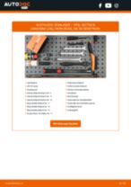 OPEL CASCADA Blinker LED tauschen: Handbuch pdf