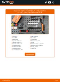 Kako izvesti menjavo: Ležaj Amortizerja Vectra B CC (J96) 1.6 i 16V (F68)