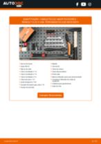 Como mudar e ajustar Cabeçote amortecedor RENAULT CLIO: tutorial pdf