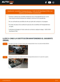 Cómo sustitución de Escobillas de Limpiaparabrisas 2.0 TDI Audi A5 B9 Sportback