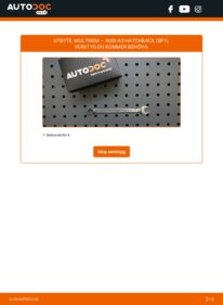 Så byter du Multirem på 2.0 TDI 16V Audi A3 8p1