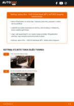 Instrukcijos PDF apie A3 Hatchback (8P1) 2.0 TDI priežiūrą