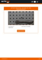 FIAT 500 Variklio oro filtras keitimas: nemokamas pdf