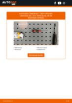 SEAT Alhambra 7M Türschloss: Schrittweises Handbuch im PDF-Format zum Wechsel