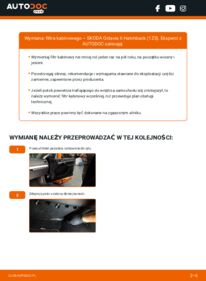Jak wymienić Filtr powietrza kabinowy Octavia II Hatchback (1Z3) 1.9 TDI