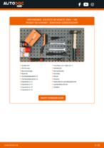 De professionele handleidingen voor Veerpootlager-vervanging in je Passat 3B6 1.9 TDI