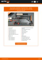 SKODA Roomster Praktik (5J) 2011 carte tehnica de reparație și întreținere