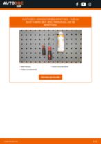Auswechseln Kennzeichenbeleuchtung, Birne AUDI A4: PDF kostenlos