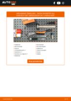 De professionele handleidingen voor Remschijven-vervanging in je Skoda Roomster 5j 1.9 TDI