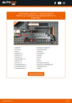 Stap-voor-stap PDF-handleidingen over het veranderen van SKODA ROOMSTER Praktik (5J) Schokbrekers