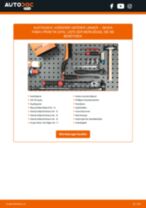 Skoda Favorit 781 Automatikgetriebeöl: Schrittweises Handbuch im PDF-Format zum Wechsel