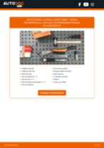 PDF manual sobre mantenimiento ROOMSTER (5J) 1.4 TDI