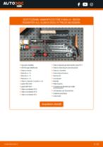 PDF manuale sulla manutenzione ROOMSTER (5J) 1.4 TDI