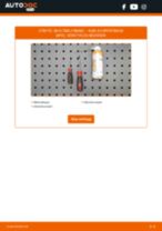 DIY-manual för byte av Skyltbelysning i AUDI A3