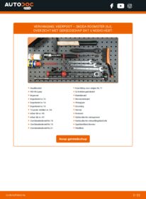 Vervanging uitvoeren: Schokbrekers 1.9 TDI Skoda Roomster 5j