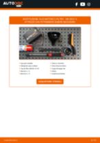 Ford B-Max JK Kit Revisione Pinze Freno sostituzione: tutorial PDF passo-passo