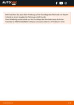 MERCEDES-BENZ E-CLASS T-Model (S211) Spiegelglas: Schrittweises Handbuch im PDF-Format zum Wechsel