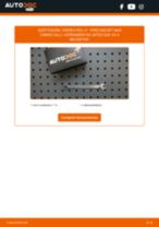 Cambio Culata cilindro FORD bricolaje - manual pdf en línea