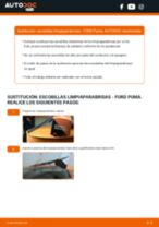 La guía profesional para realizar la sustitución de Pastillas De Freno en tu Ford Puma Coupé 1.6 16V