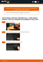 Cambio FORD TRANSIT CONNECT Box Tergicristallo posteriore e anteriore: consigli e suggerimenti