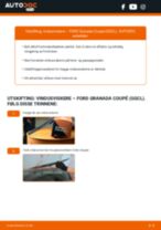 endring Viskerblader i FORD GRANADA Coupe (GGCL) – tips og triks