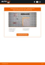 Online εγχειρίδιο για να αλλάξετε Σετ βοηθ. εξαρτημάτων, τακάκια φρένων σε HYUNDAI Veloster (JS, JSN)